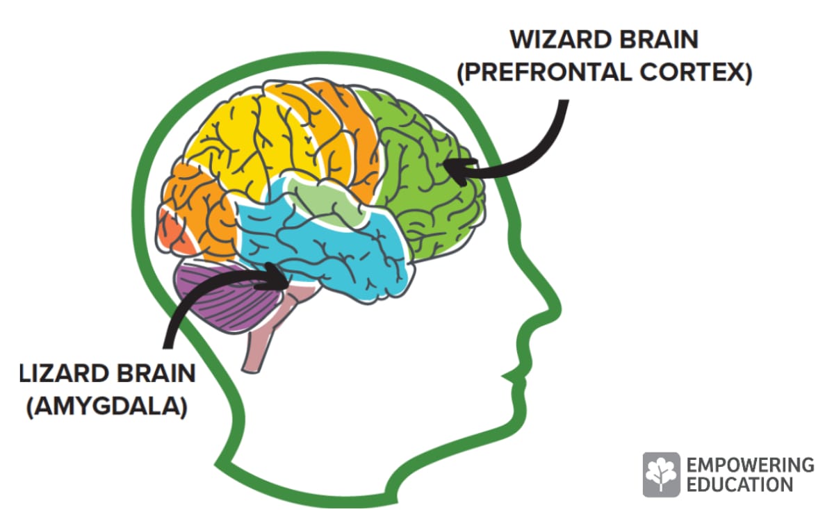 Cosmico - Mindfulness - Brain Prefrontal Cortex