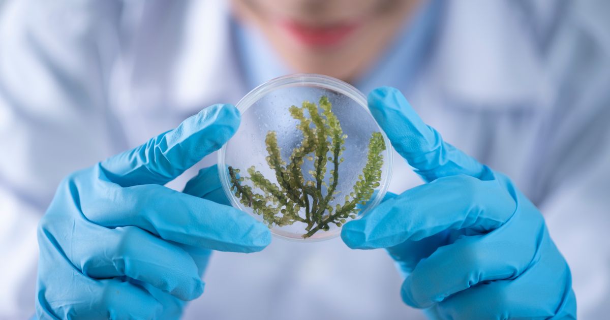 Cosmico - 7 Future Trends in Biotechnology