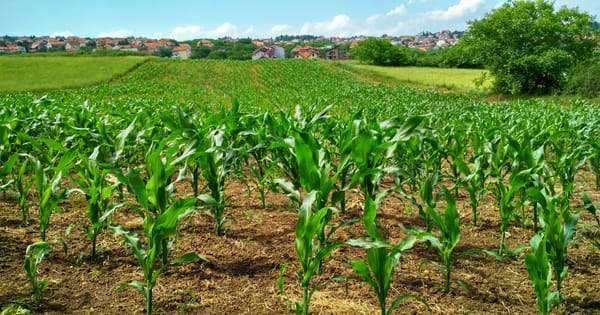 Cosmico - [New] Agricultural Technologies in Modern Farming